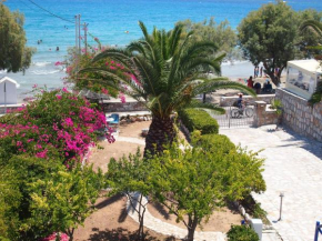 Villa Dolphin